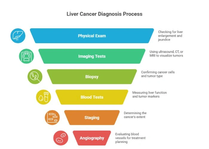 Diagnosis of Liver Cancer
